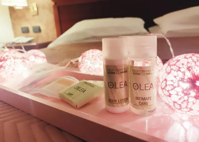 Hotel Fidenza Hotel 3*