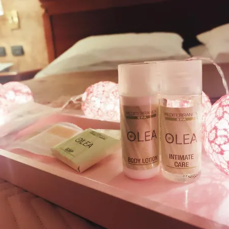 Hotel Fidenza Hotel 3*