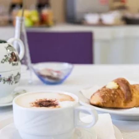 Hotel Fidenza Otel 3*