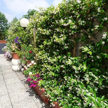 Otel Hotel Fidenza 3*